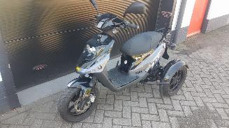 krockskadad bil motor PGO  PGO driewielscooter 2012/1